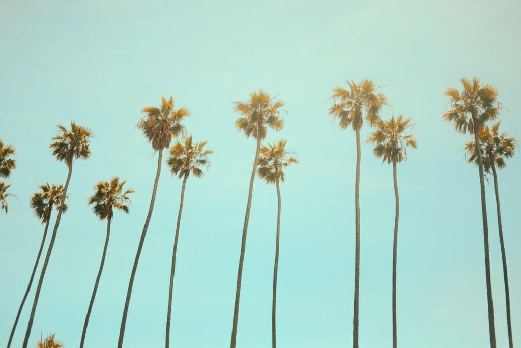 What Happens If You Die Without a Will in California?